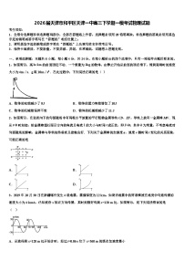2026届天津市和平区天津一中高三下学期一模考试物理试题含解析