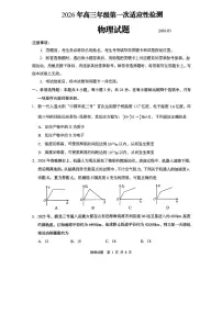 青岛市2026年高三下学期3月第一次适应性检测 物理试卷及答案