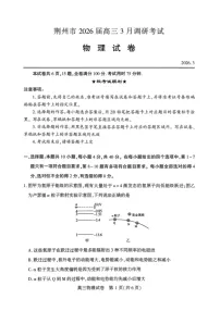 湖北省荆州市2026届高三下学期3月调研考试物理试题