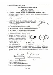 北京市第八中学2025-2026学年高三上学期10月月考物理试卷（无答案）