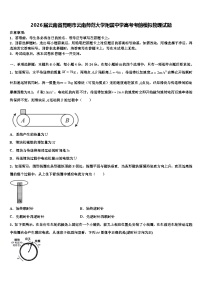 2026届云南省昆明市云南师范大学附属中学高考考前模拟物理试题含解析