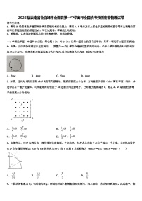 2026届云南省会曲靖市会泽县第一中学高考全国统考预测密卷物理试卷含解析