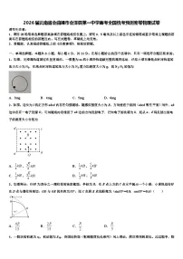 2026届云南省会曲靖市会泽县第一中学高考全国统考预测密卷物理试卷含解析