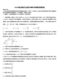 2026届云南省文山州五中高考冲刺模拟物理试题含解析