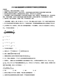 2026届云南省曲靖市会泽县茚旺中学高考仿真卷物理试题含解析