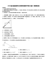 2026届云南省曲靖市会泽县茚旺高级中学高三最后一模物理试题含解析