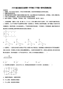 2026届云南省玉龙县第一中学高三下学期一模考试物理试题含解析