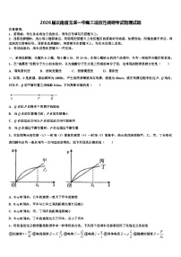 2026届云南省玉溪一中高三适应性调研考试物理试题含解析