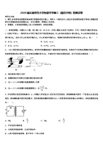 2026届云南师范大学附属中学高三（最后冲刺）物理试卷含解析