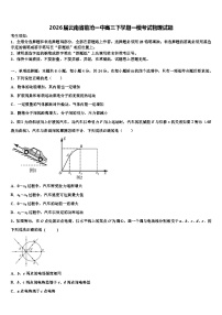 2026届云南省临沧一中高三下学期一模考试物理试题含解析