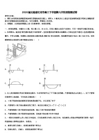 2026届云南省红河市高三下学期第六次检测物理试卷含解析