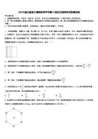 2026届云南省大理州体育中学高三适应性调研考试物理试题含解析