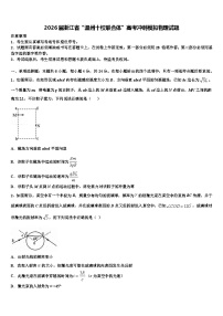 2026届浙江省“温州十校联合体”高考冲刺模拟物理试题含解析