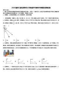 2026届浙江省杭州师范大学附属中学高考冲刺模拟物理试题含解析