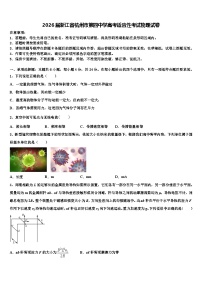 2026届浙江省杭州市第四中学高考适应性考试物理试卷含解析