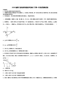 2026届浙江省杭州外国语学校高三下第一次测试物理试题含解析
