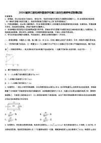 2026届浙江省杭州外国语学校高三适应性调研考试物理试题含解析