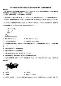 2026届浙江省乐清市乐成公立寄宿学校高三第二次调研物理试卷含解析
