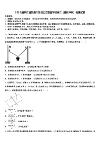 2026届浙江省乐清市乐成公立寄宿学校高三（最后冲刺）物理试卷含解析