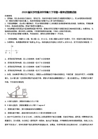 2026届长沙市重点中学高三下学期一模考试物理试题含解析