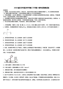 2026届长沙市重点中学高三下学期一模考试物理试题含解析