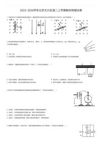 2025~2026学年北京大兴区高二上学期期末物理试卷（有答案解析）