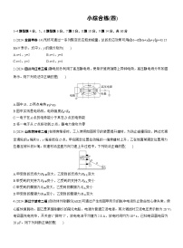 2026高考高三二轮专题复习物理习题_小综合练(四)（含解析）