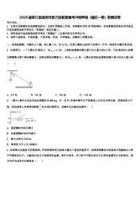 2026届浙江省温州市新力量联盟高考冲刺押题（最后一卷）物理试卷含解析
