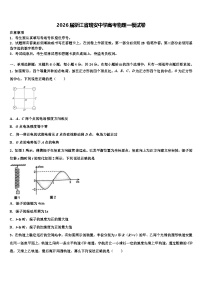 2026届浙江省瑞安中学高考物理一模试卷含解析