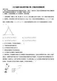 2026届浙江省台州中学高三第一次模拟考试物理试卷含解析