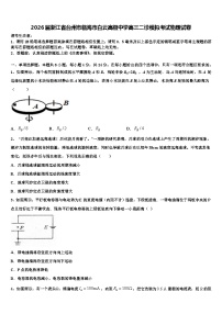 2026届浙江省台州市临海市白云高级中学高三二诊模拟考试物理试卷含解析