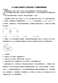 2026届浙江省温州市十校联合体高三下学期联考物理试题含解析