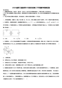 2026届浙江省温州市十校联合体高三下学期联考物理试题含解析