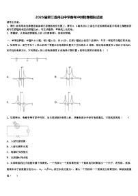 2026届浙江省舟山中学高考冲刺物理模拟试题含解析