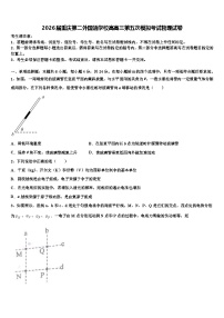 2026届重庆第二外国语学校高高三第五次模拟考试物理试卷含解析