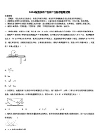 2026届重庆綦江区高三压轴卷物理试卷含解析