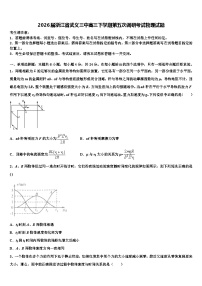 2026届浙江省武义三中高三下学期第五次调研考试物理试题含解析