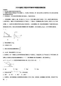 2026届周口市重点中学高考冲刺模拟物理试题含解析
