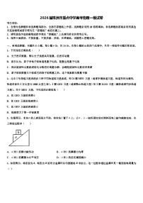 2026届株洲市重点中学高考物理一模试卷含解析