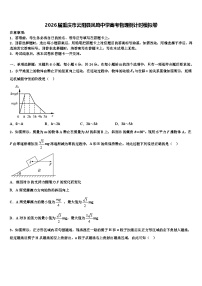 2026届重庆市云阳县凤鸣中学高考物理倒计时模拟卷含解析
