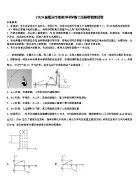 2026届重庆市杨家坪中学高三压轴卷物理试卷含解析