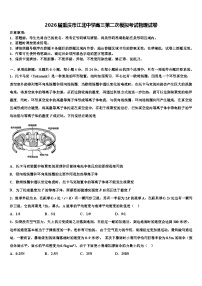 2026届重庆市江北中学高三第二次模拟考试物理试卷含解析