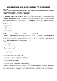 2026届重庆市江津、巴县、长寿等七校联盟高三下第一次测试物理试题含解析