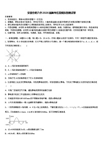 安徽合肥八中2026届高考仿真模拟物理试卷含解析