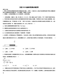 安徽2026届高考物理必刷试卷含解析