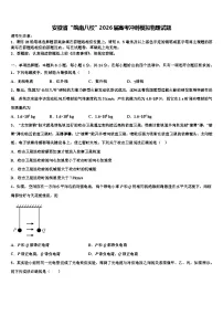 安徽省“皖南八校”2026届高考冲刺模拟物理试题含解析