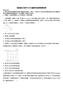安徽省安大附中2026届高考仿真卷物理试卷含解析