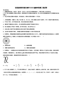 安徽省滁州市部分高中2026届高考物理二模试卷含解析