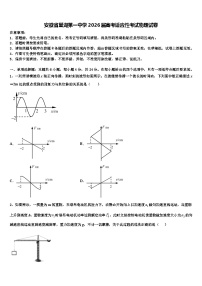 安徽省巢湖第一中学2026届高考适应性考试物理试卷含解析