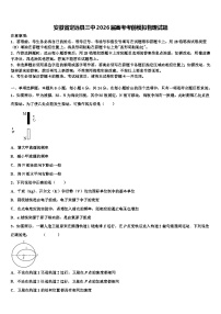 安徽省定远县三中2026届高考考前模拟物理试题含解析